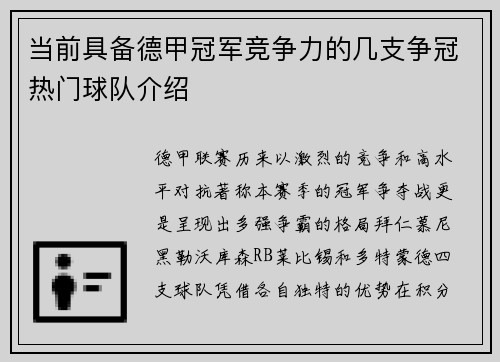 当前具备德甲冠军竞争力的几支争冠热门球队介绍